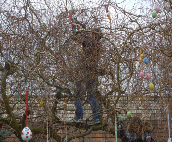Zdobenie veľkonočného stromu 25. 3. 2018